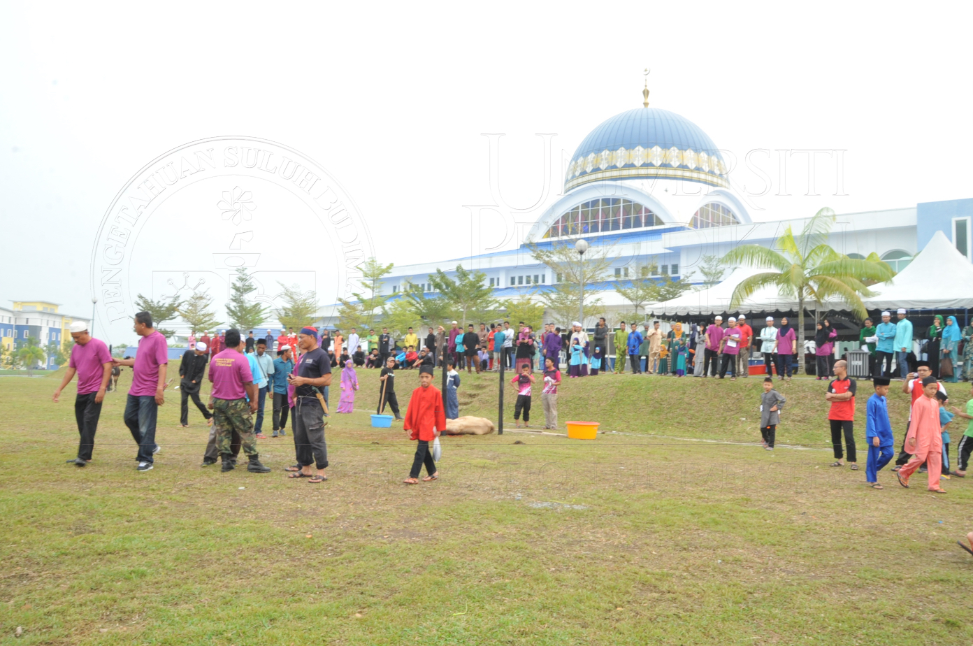 PRO15 150 KORBAN HAS 6723